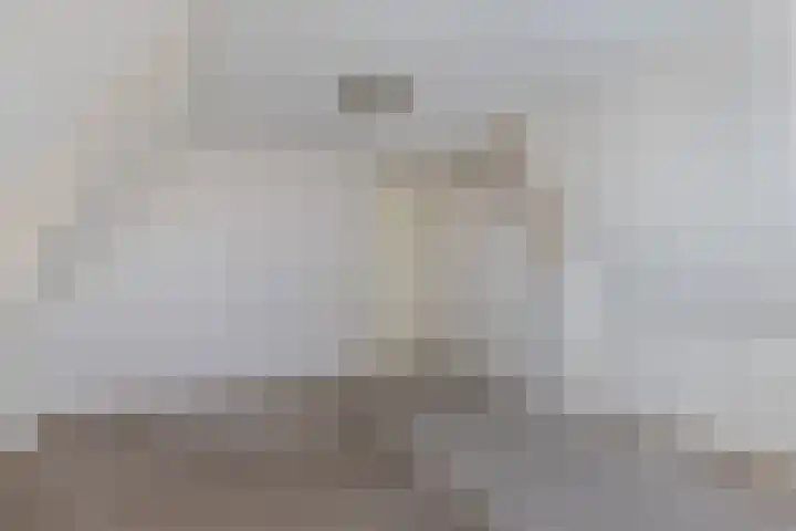 Buorren 20 Rien thumbnail 25