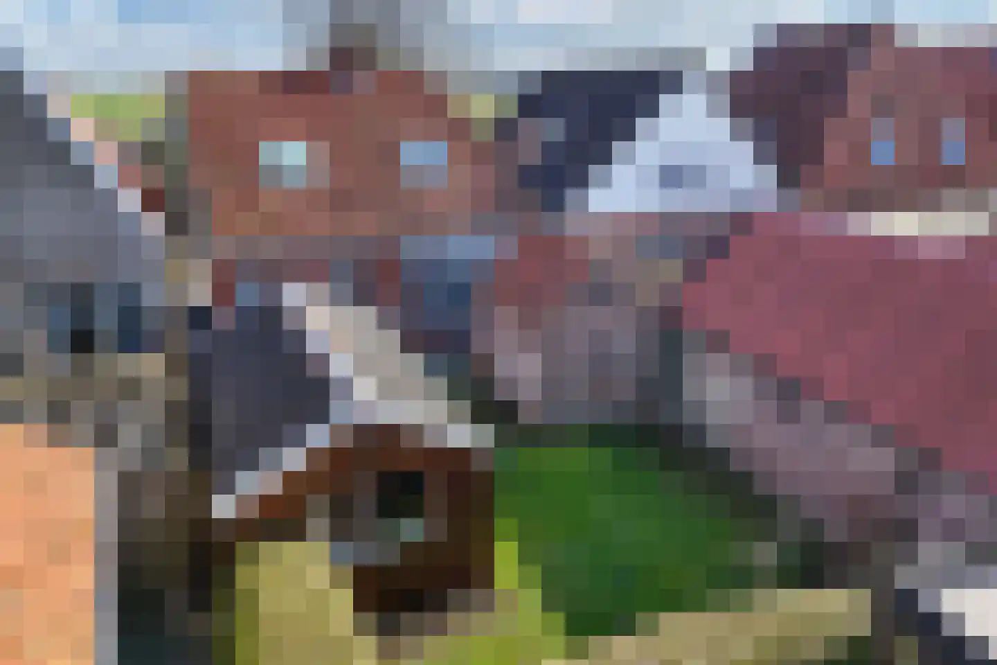 Buorren 20 Rien foto 3