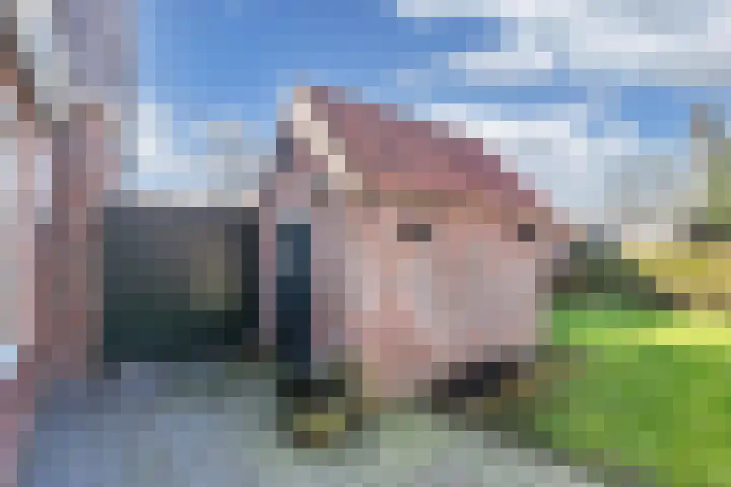 Buorren 20 Rien thumbnail 30