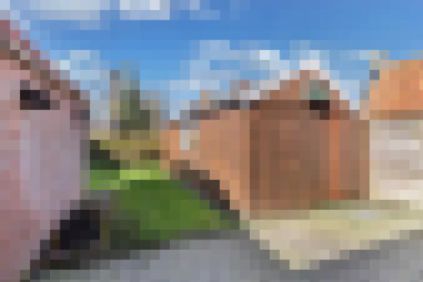 Buorren 20 Rien thumbnail 31