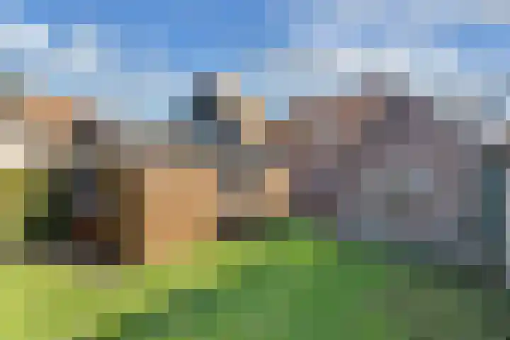 Buorren 20 Rien thumbnail 33