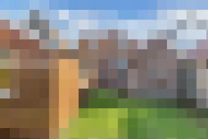 Buorren 20 Rien thumbnail 36
