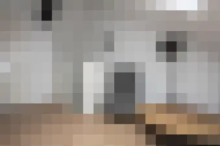 Buorren 20 Rien thumbnail 38