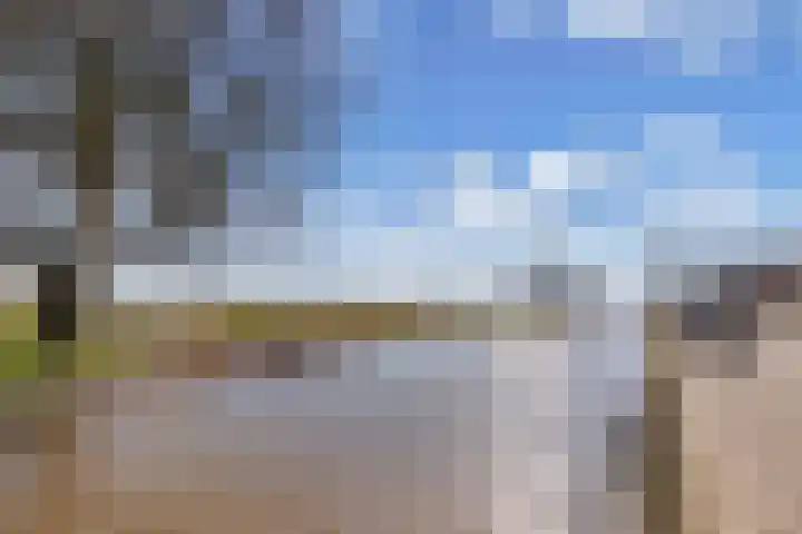 Buorren 20 Rien thumbnail 40