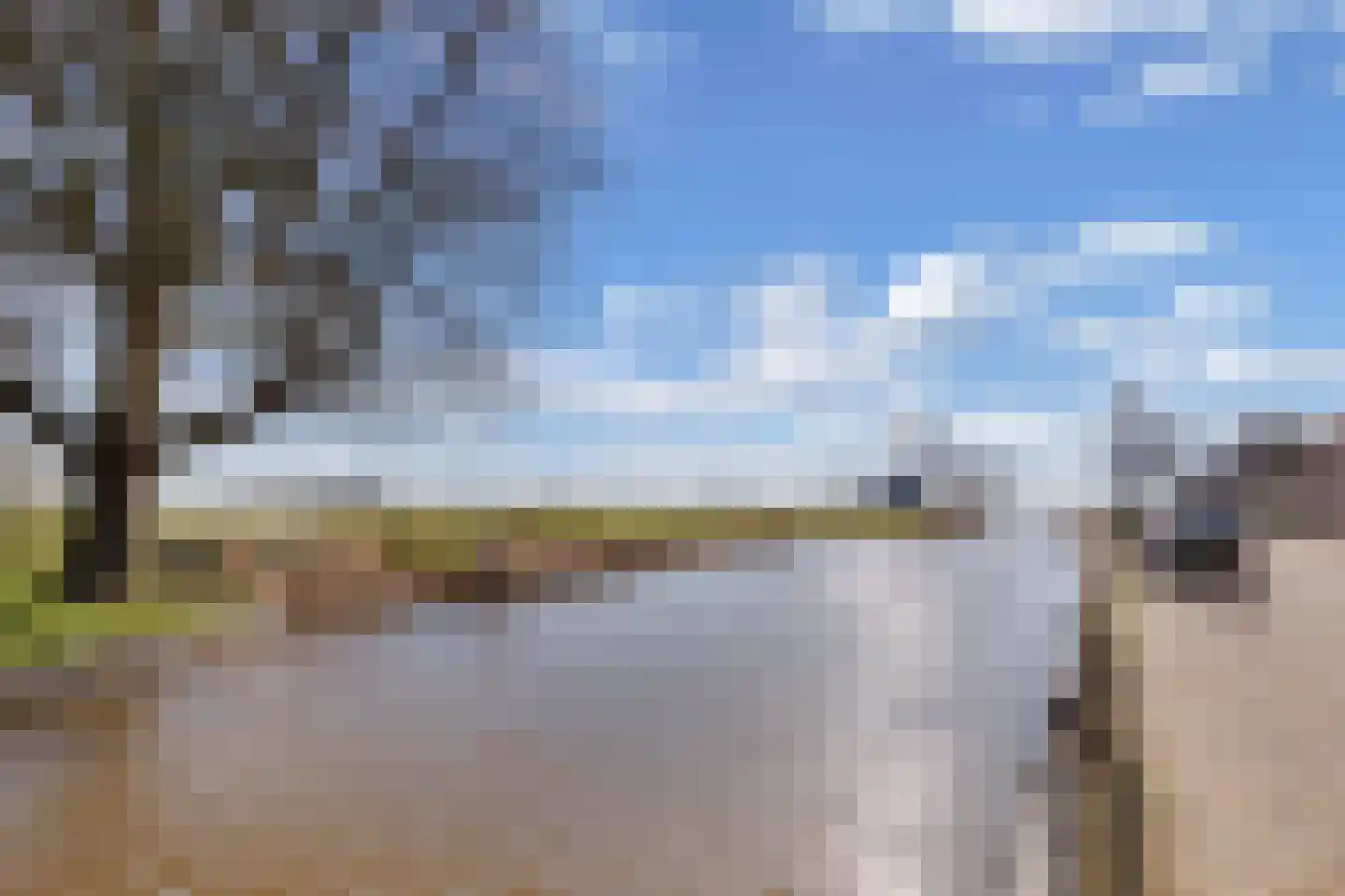 Buorren 20 Rien thumbnail 40