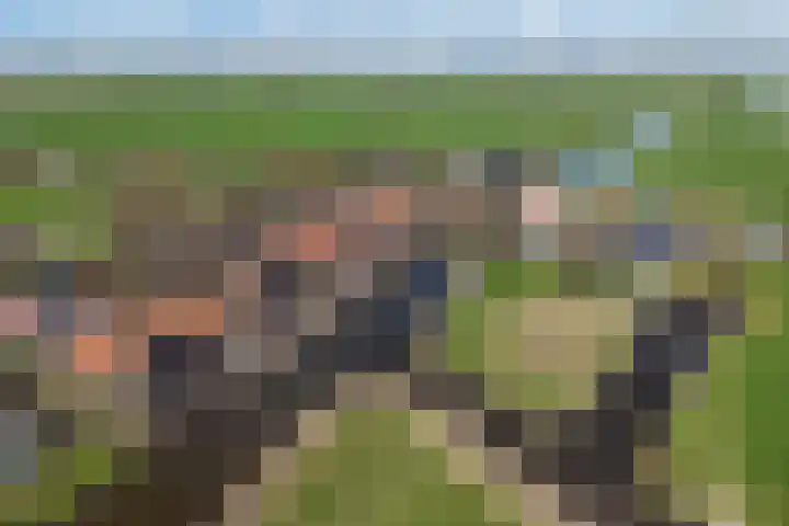 Buorren 20 Rien thumbnail 41
