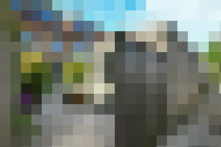 Buorren 20 Rien thumbnail 45