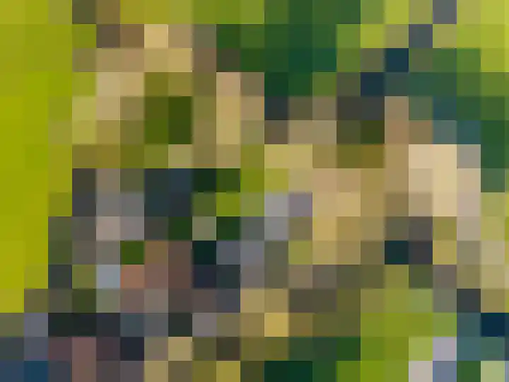 Buorren 21 Baaium thumbnail 10