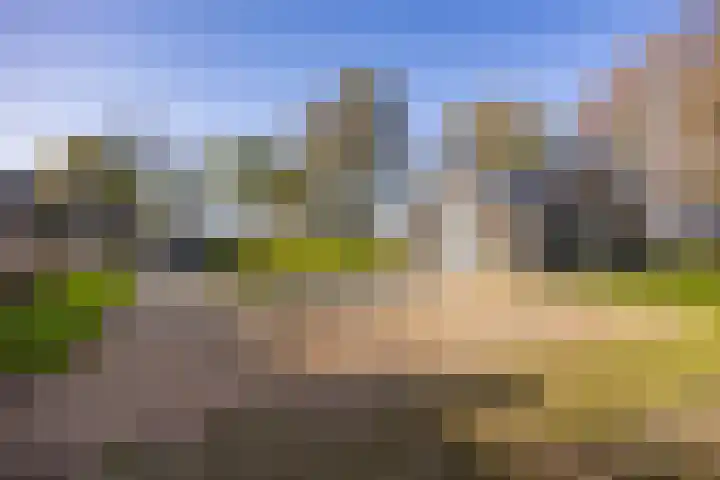 Buorren 21 Baaium thumbnail 14