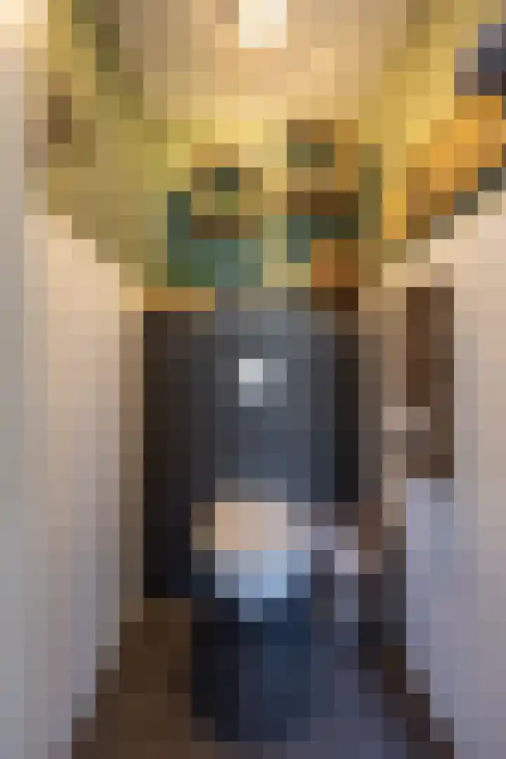 Buorren 21 Baaium thumbnail 19
