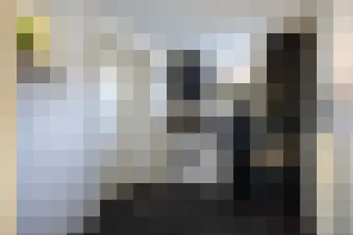 Buorren 21 Baaium thumbnail 35