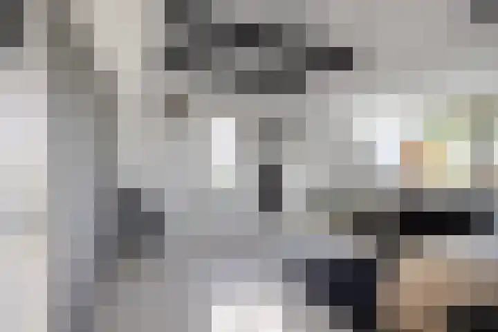 Buorren 21 Baaium thumbnail 38