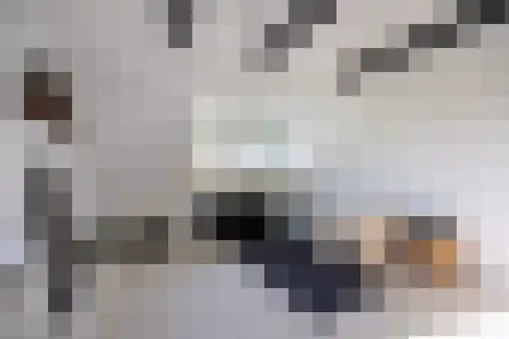 Buorren 21 Baaium thumbnail 39