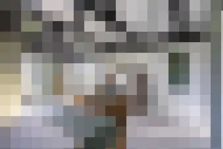 Buorren 21 Baaium thumbnail 42