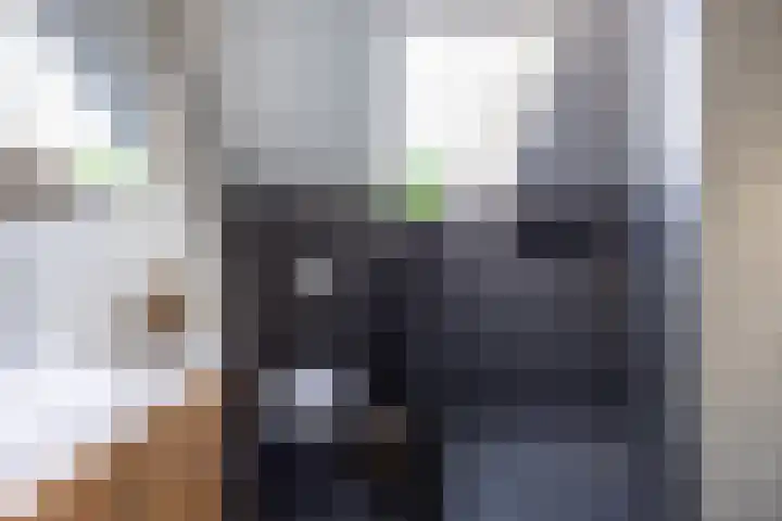 Buorren 21 Baaium thumbnail 47