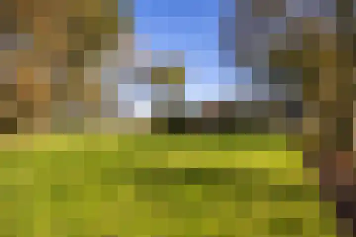 Buorren 21 Baaium thumbnail 5