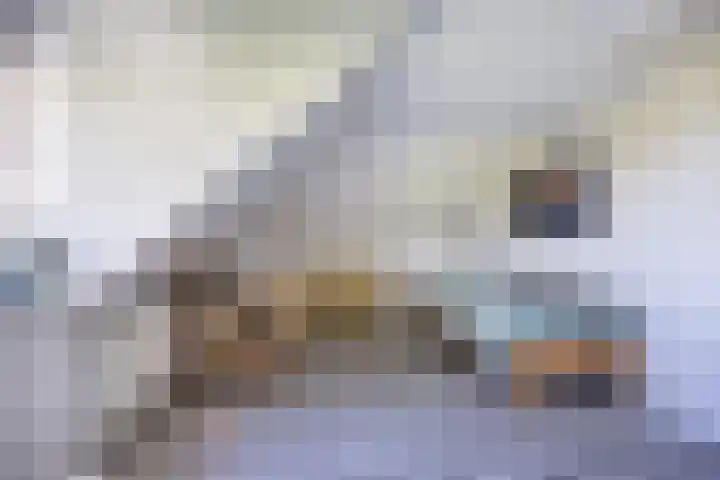 Buorren 21 Baaium thumbnail 51