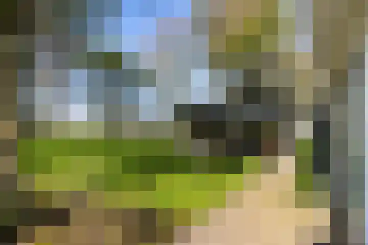 Buorren 21 Baaium thumbnail 58