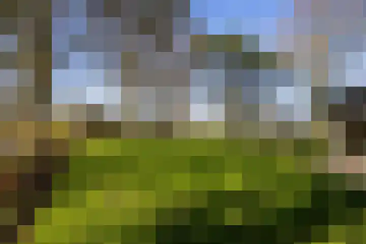 Buorren 21 Baaium thumbnail 59