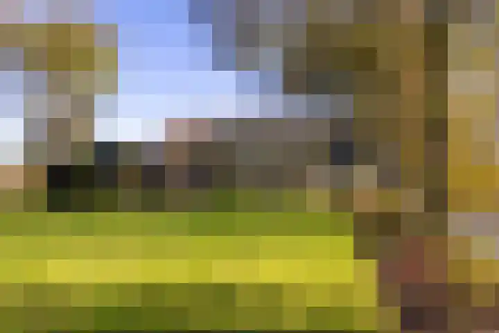 Buorren 21 Baaium thumbnail 60