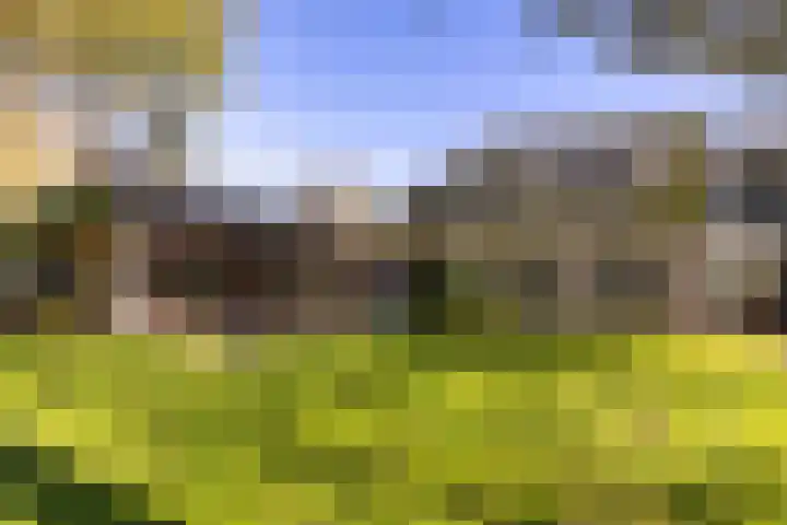 Buorren 21 Baaium thumbnail 62