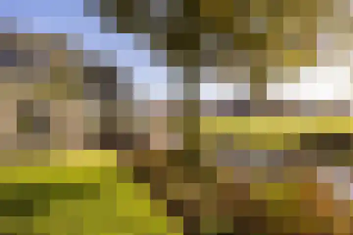 Buorren 21 Baaium thumbnail 63