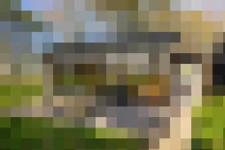 Buorren 21 Baaium thumbnail 64