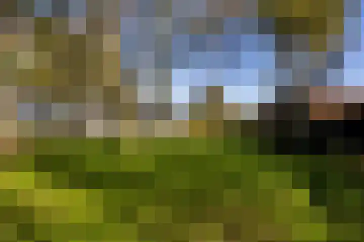 Buorren 21 Baaium thumbnail 69