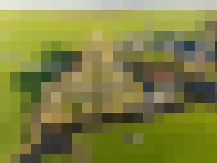 Buorren 21 Baaium thumbnail 7