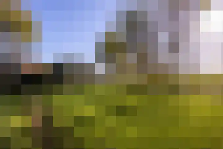 Buorren 21 Baaium thumbnail 70