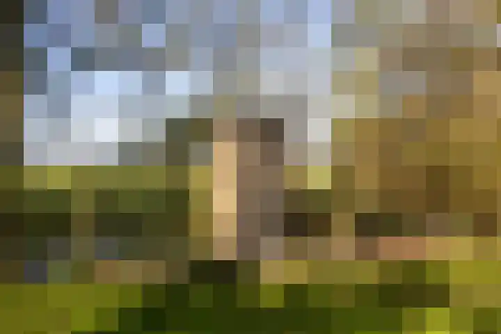 Buorren 21 Baaium thumbnail 71