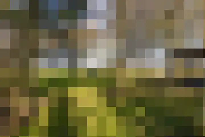 Buorren 21 Baaium thumbnail 72