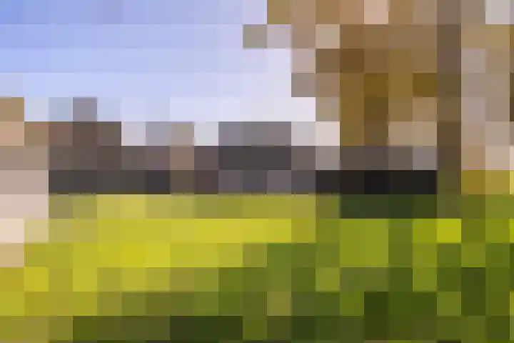 Buorren 21 Baaium thumbnail 73