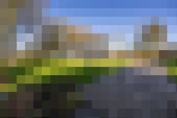 Buorren 21 Baaium thumbnail 74