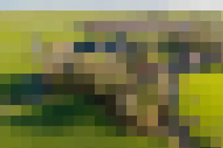 Buorren 21 Baaium thumbnail 8