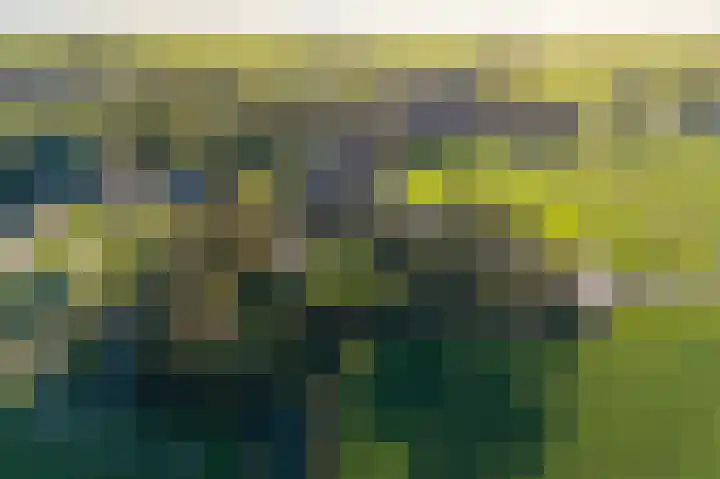 Buorren 21 Baaium thumbnail 9