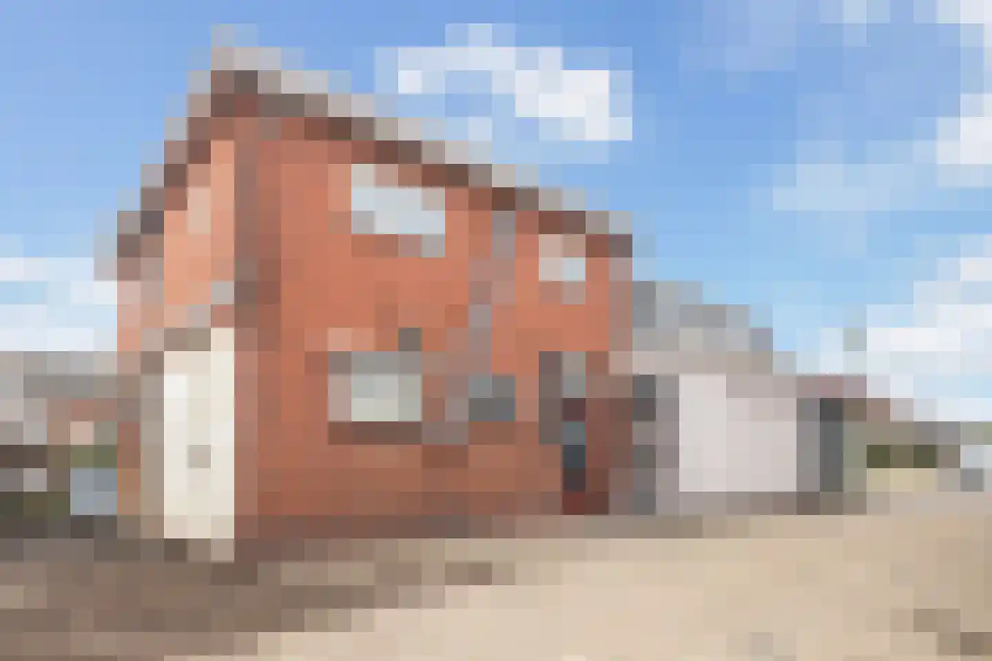 Buorren 21 Oudega thumbnail 14