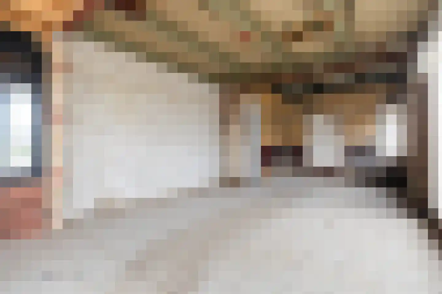Buorren 21 Oudega thumbnail 20