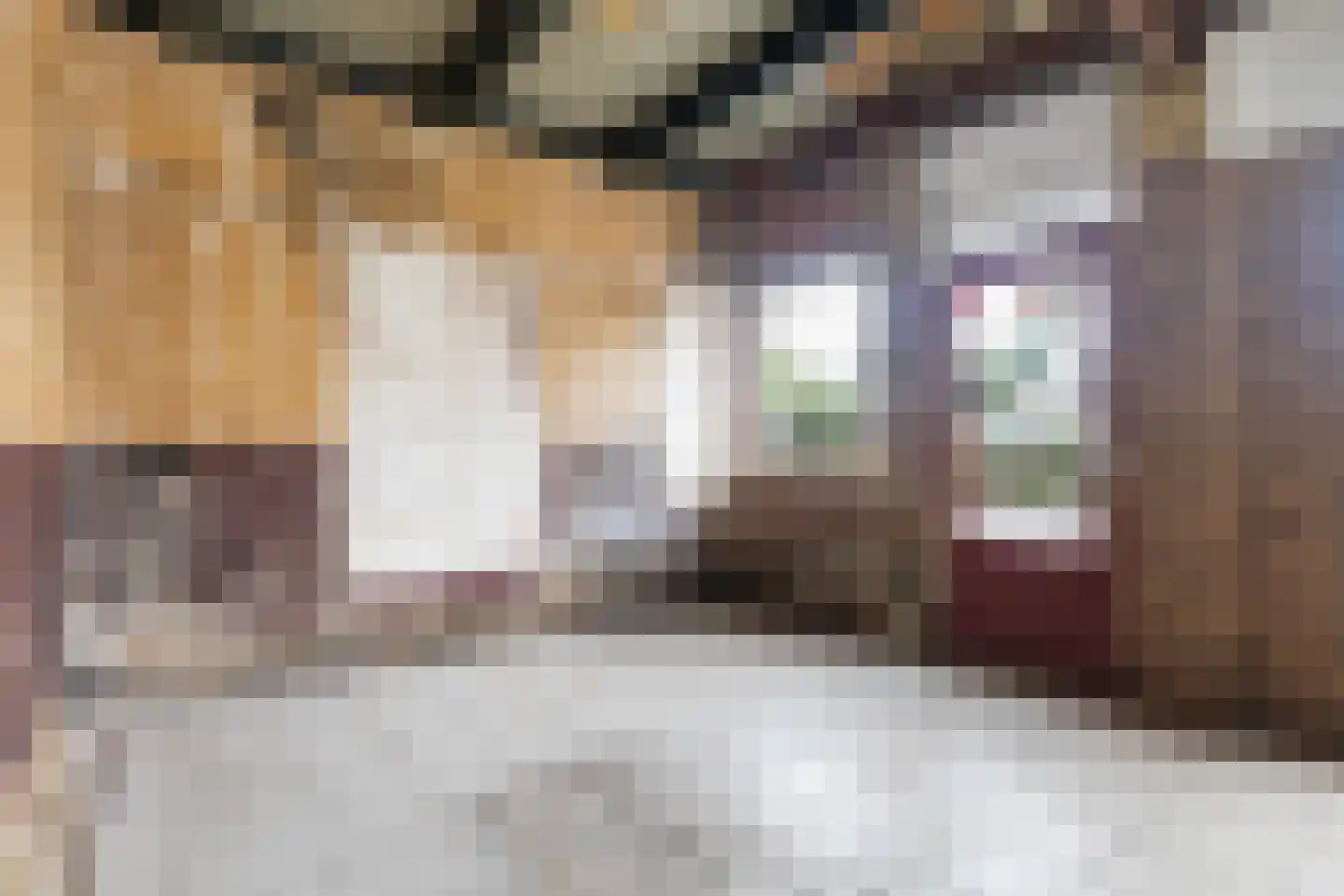 Buorren 21 Oudega thumbnail 21