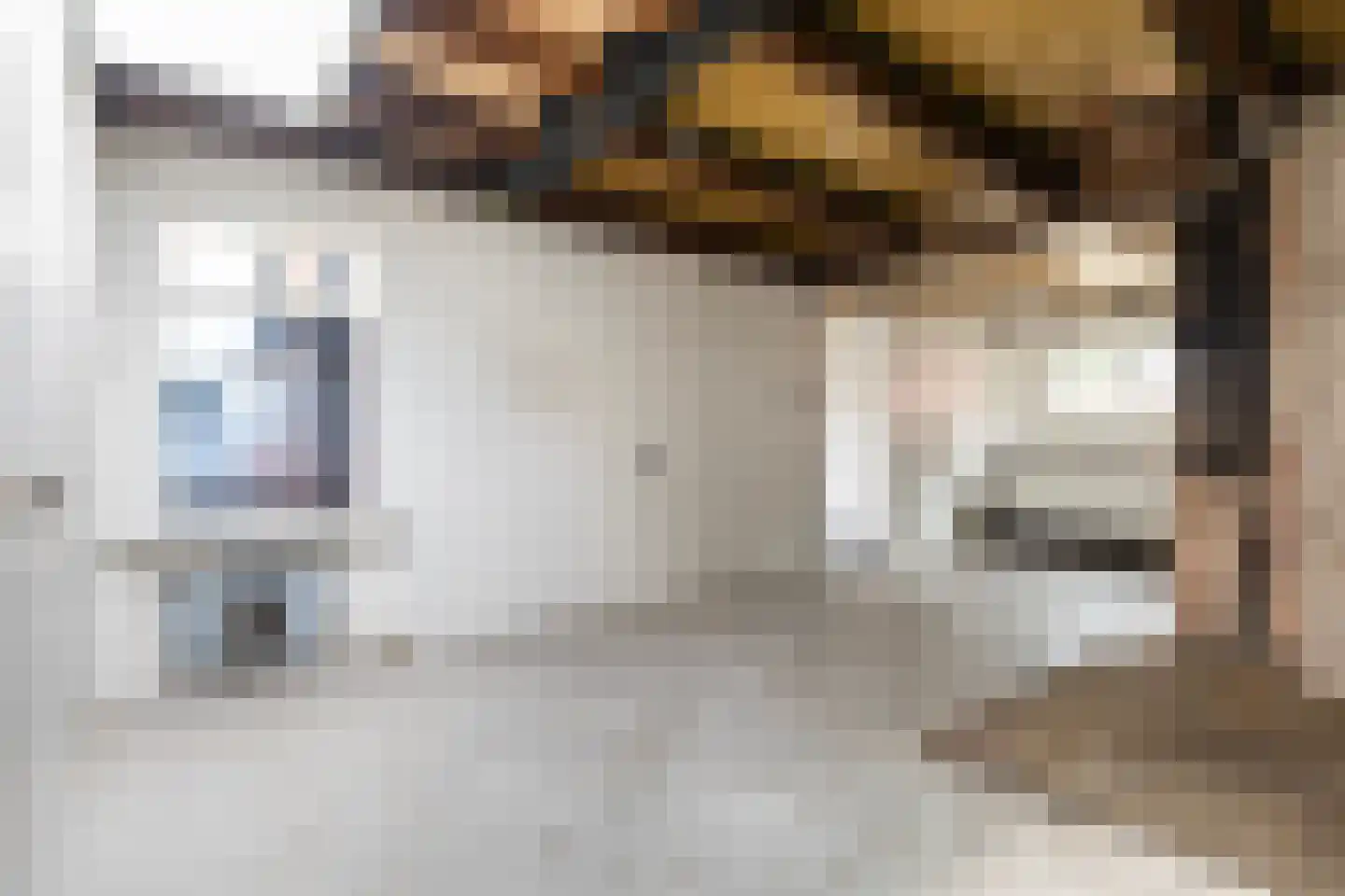 Buorren 21 Oudega thumbnail 24