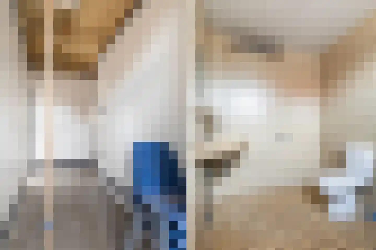 Buorren 21 Oudega thumbnail 29
