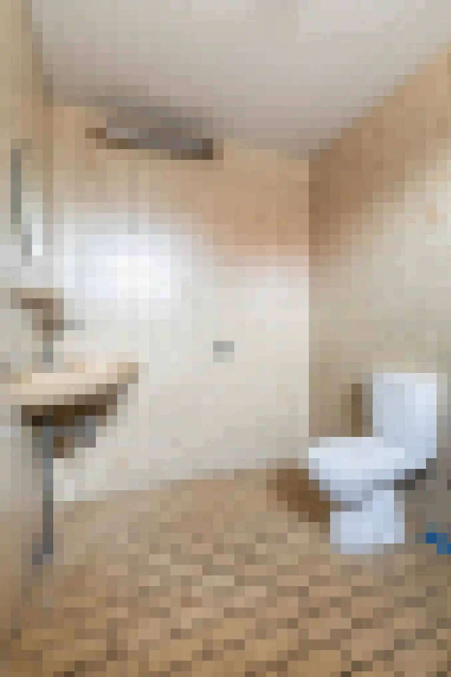 Buorren 21 Oudega thumbnail 30