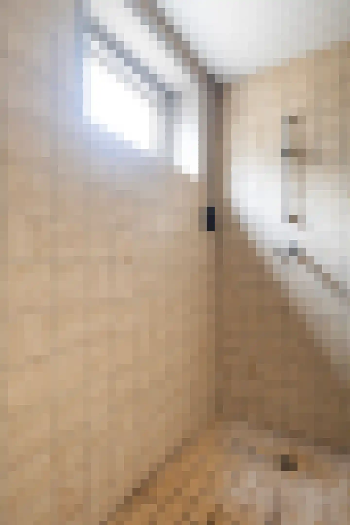 Buorren 21 Oudega thumbnail 32