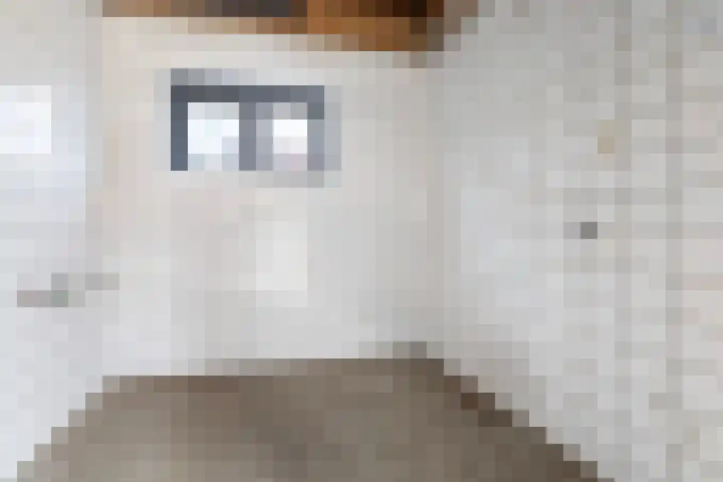Buorren 21 Oudega thumbnail 34