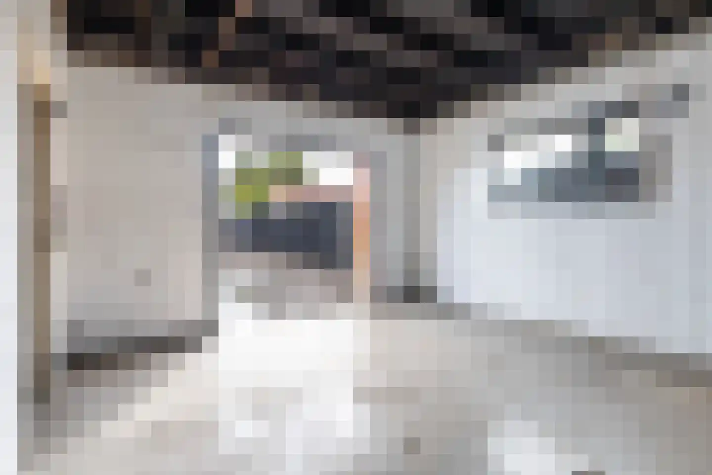 Buorren 21 Oudega thumbnail 35