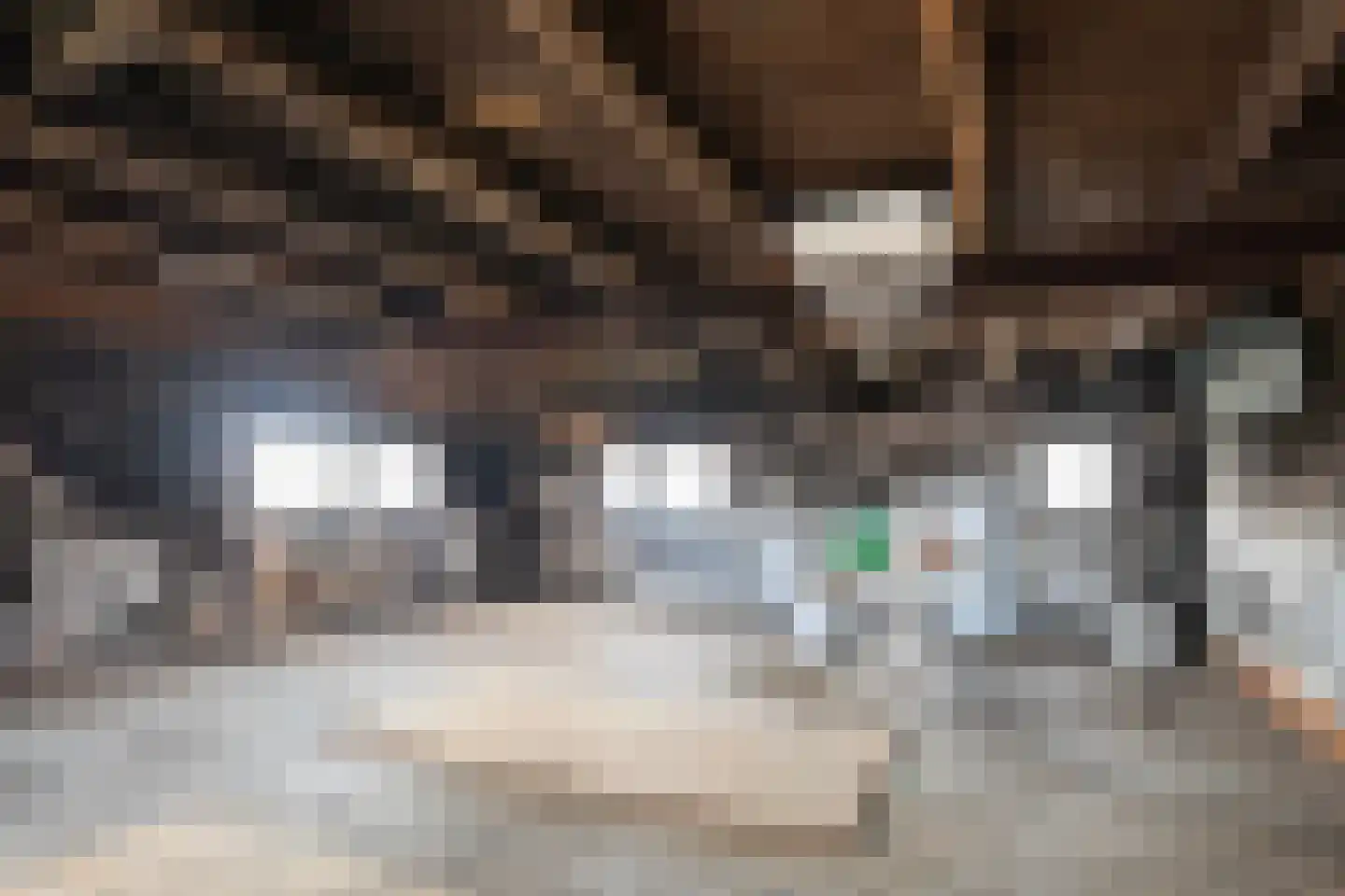 Buorren 21 Oudega thumbnail 43
