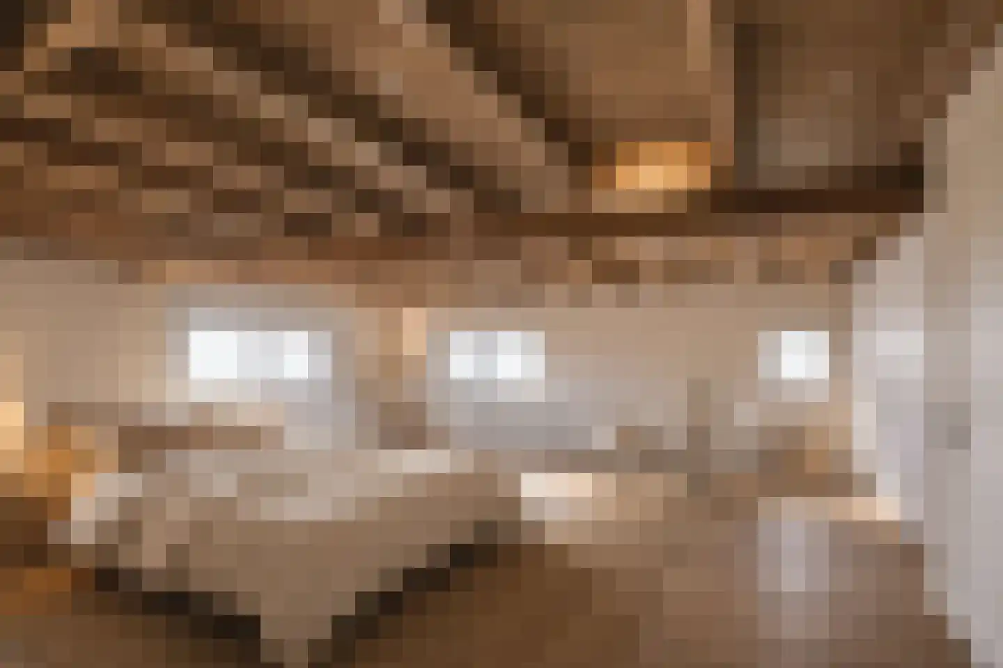 Buorren 21 Oudega thumbnail 44