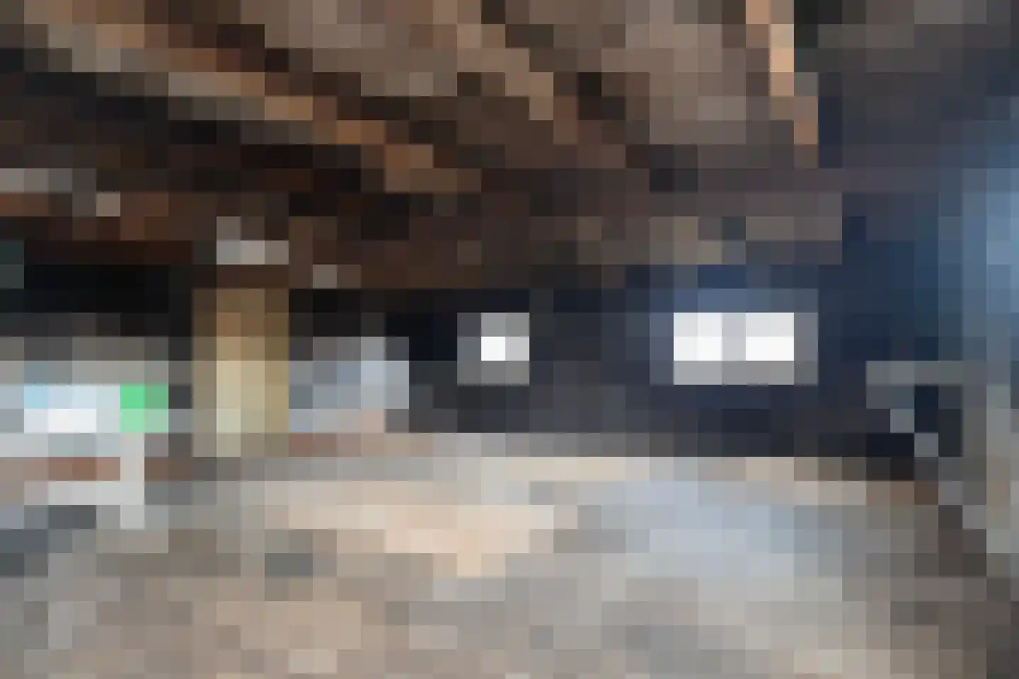 Buorren 21 Oudega thumbnail 45