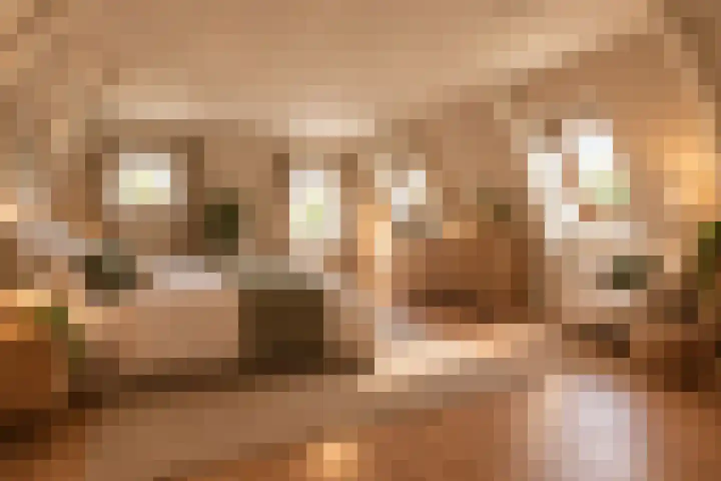 Buorren 21 Oudega thumbnail 8
