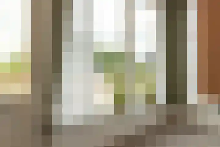 Buorren 23 Oudega thumbnail 18